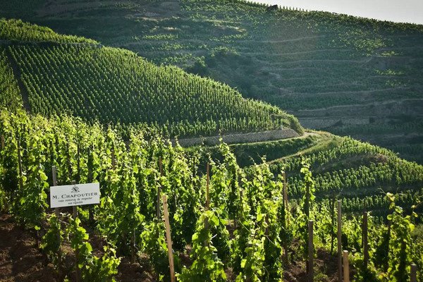 波爾多赫米塔西葡萄酒產(chǎn)區(qū)